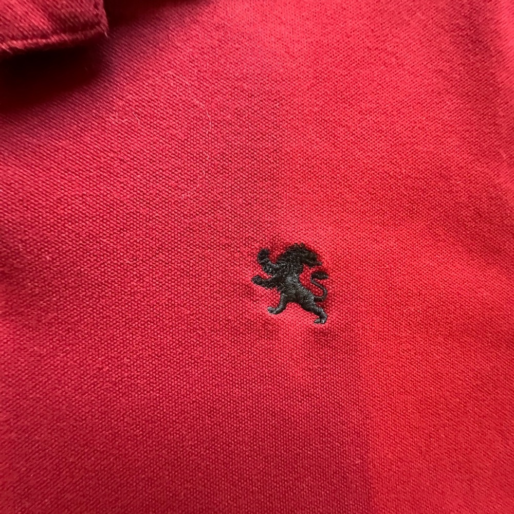 Express Men’s Polo - Picture 3 of 4
